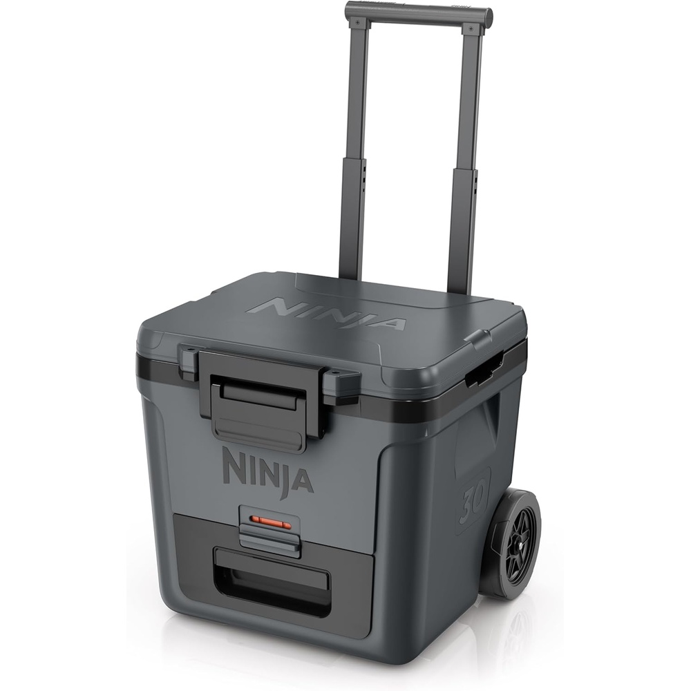 image:imageNinja  FrostVault 30QT Cooler with Wheels  Insulated with Temp Dry Storage Drawer  Keeps Ice Cold for Days  for the Beach Camping Picnics amp More  Daffodil Daze  FB230YLCharcoal Grey