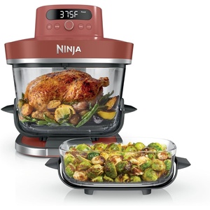Ninja Crispi Pro 6-in-1 Glass Air Fryer | With Nontoxic, 6qt & 2.5qt Containers & Lids | Microwave, Freezer, Dishwasher Safe | 450°F Max Temp | 1800 Watt | Ash Grey | AS101DG(Amber)